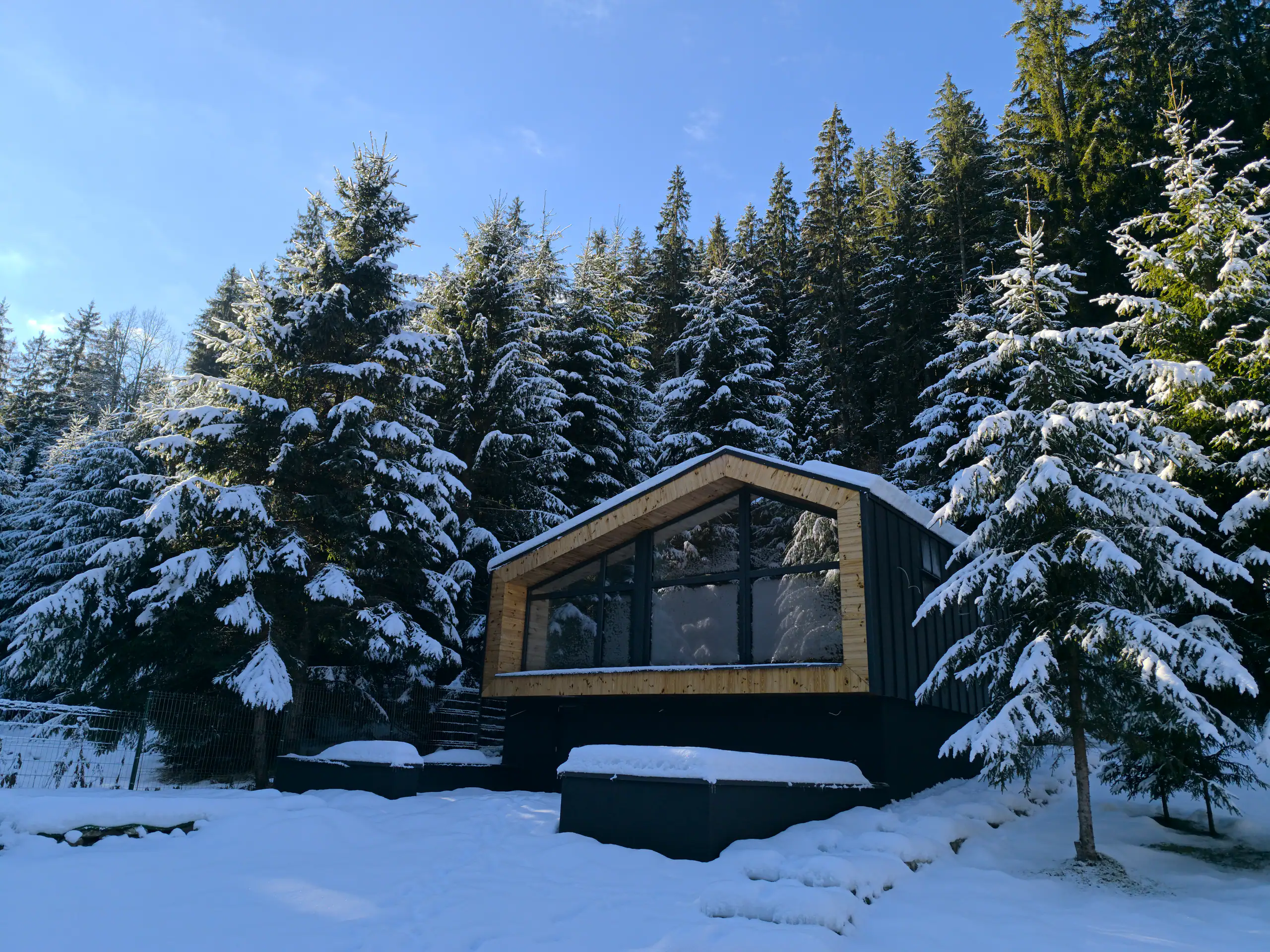 Cabană cu vitraj panoramic între brazi acoperiți de zăpadă